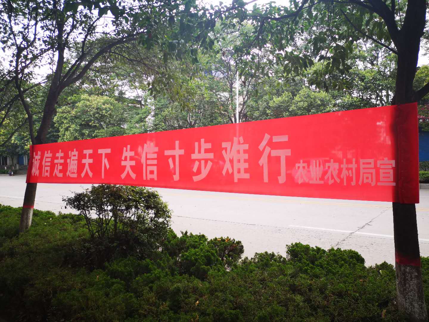 图片2.jpg 图片2.jpg