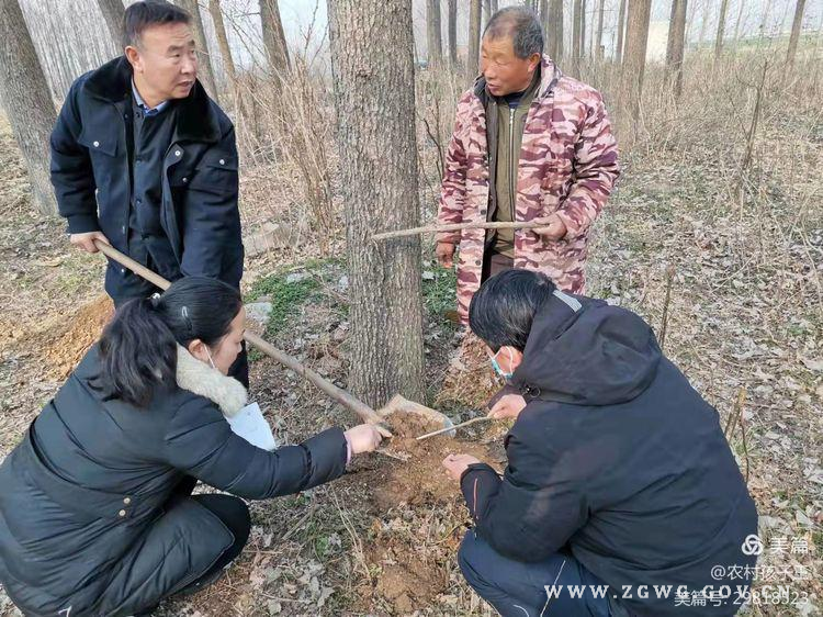 图片2.jpg 图片2.jpg